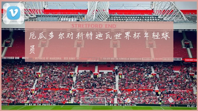厄瓜多尔对科特迪瓦世界杯年轻球员