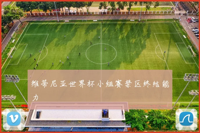 维蒂尼亚世界杯小组赛禁区终结能力