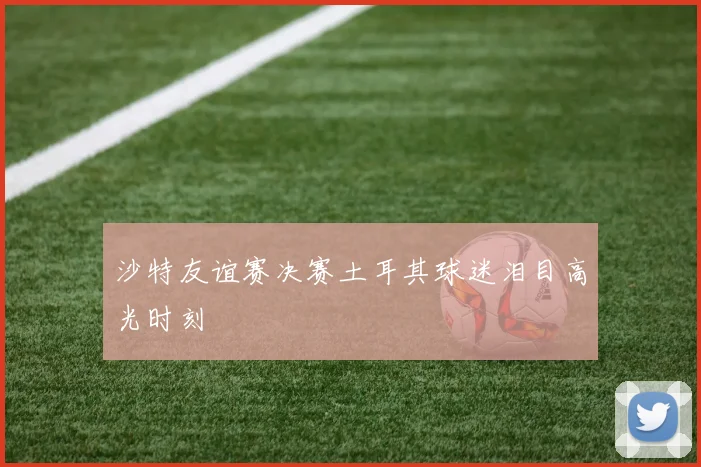 沙特友谊赛决赛土耳其球迷泪目高光时刻