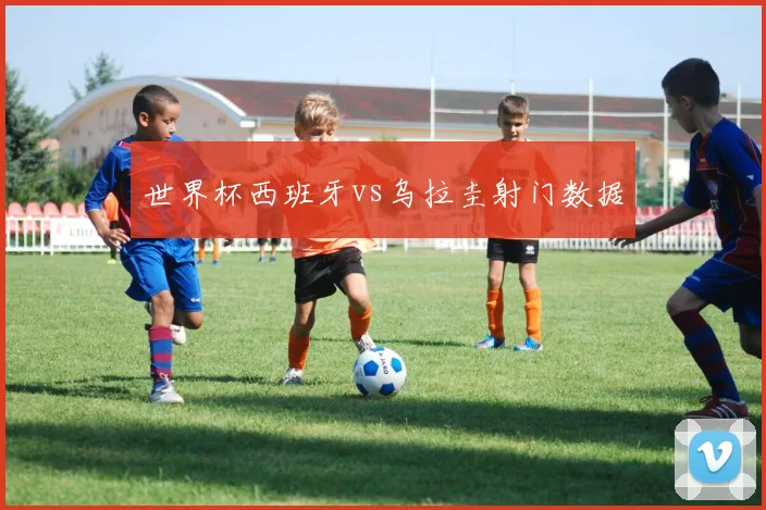 世界杯西班牙vs乌拉圭射门数据