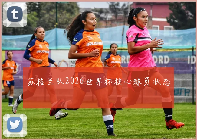 苏格兰队2026世界杯核心球员状态
