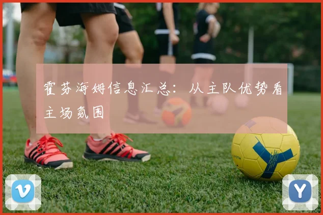 霍芬海姆信息汇总:从主队优势看主场氛围