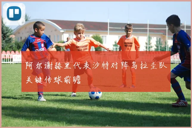 阿尔谢赫里代表沙特对阵乌拉圭队关键传球前瞻